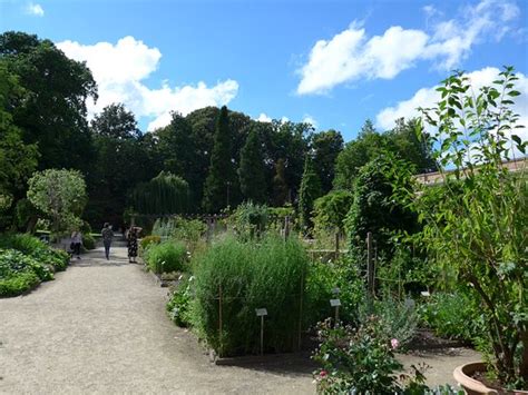 Botanical Garden Kruidtuin (Leuven) - 2020 What to Know Before You Go ...