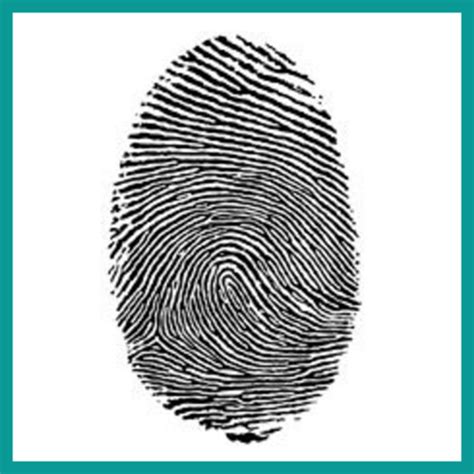 What Is a Fingerprint? Let’s Get to the Bottom of It