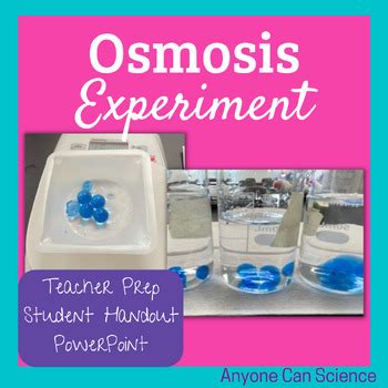 Osmosis Experiment by Anyone Can Science | TPT