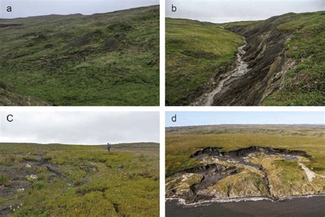 2: Examples of mass wasting on Herschel Island: (a) solifluction, (b)... | Download Scientific ...