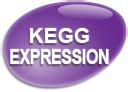 KEGG EXPRESSION Database