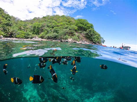 Snorkeling in Puerto Vallarta – DuChateau Film