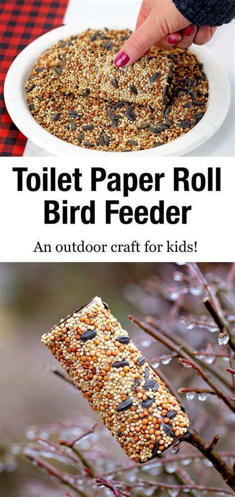 Toilet Paper Roll Bird Feeder | Bird feeder craft, Outdoor crafts, Bird ...