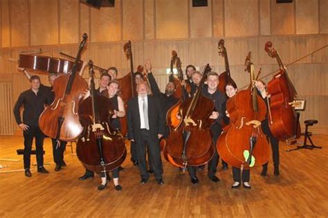 14 tips for efficient double bass practice | Blogs | The Strad