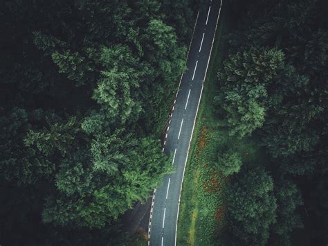 Green trees, trees, aerial view, forest, road HD wallpaper | Wallpaper Flare