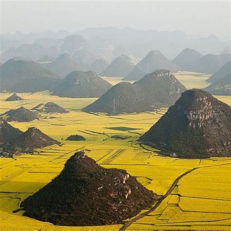 Rapeseed Fields in Luoping, China | Amusing Planet