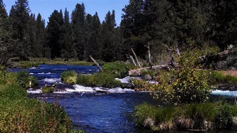 The Oregon Lakes and Rivers Map: Aquatic Adventures