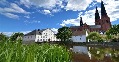 Viking history 3-hour public tour | musement