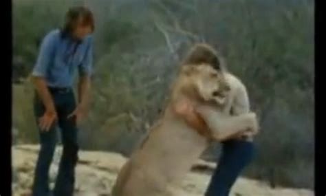 Christian the Lion: Owners’ Emotional Reunion