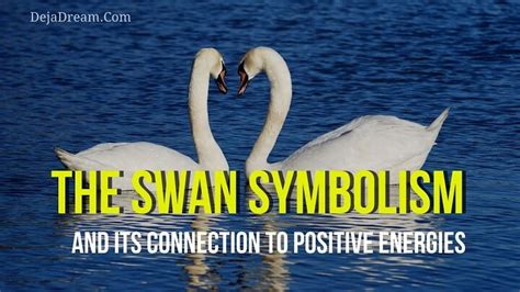 The Swan Symbolism And Its Connection To Positive Energies - DejaDream