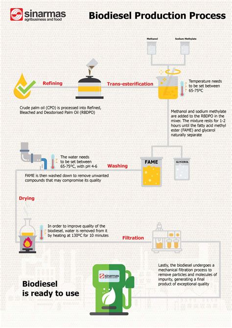 Biodiesel Production Process Flow Diagram