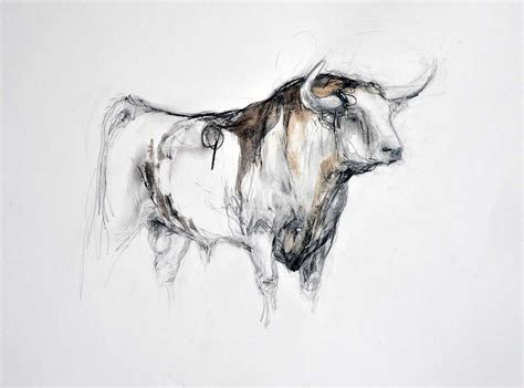 Small Bull Drawing | Lydia Kiernan Art