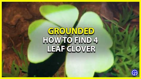 How To Find 4 Leaf Clover In Grounded (Cave Location)