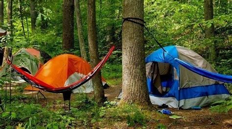 Tent Vs. Hammock: Which Is The Better Option For Campers?