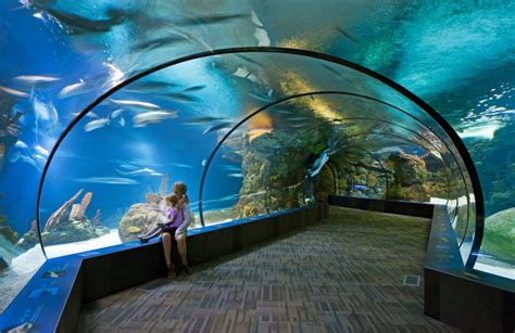 From “A” to Zoo: Kiewit’s history at Omaha’s Henry Doorly Zoo and Aquarium - Kiewit News Room