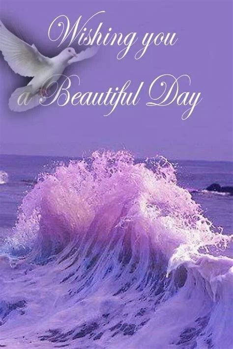 Wishing You A Beautiful Day Beautiful Quote Pictures, Photos, and ...