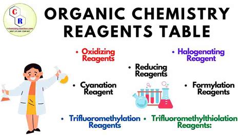 List Of All Reagents In Organic Chemistry Pdf For Neet Organic | My XXX ...