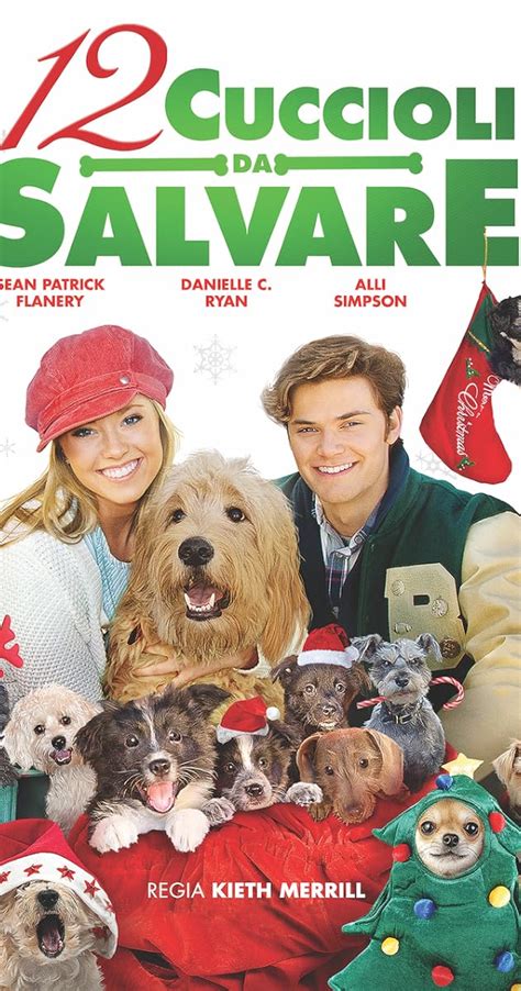 12 Dogs of Christmas: Great Puppy Rescue (2012) - Full Cast & Crew - IMDb