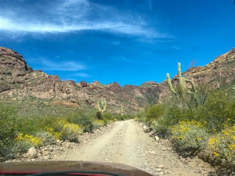 A Visit to Organ Pipe Cactus National Monument – Exploring with Beth