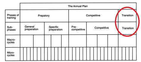 Periodization 202: Training Effects & Phases — GC Performance Training