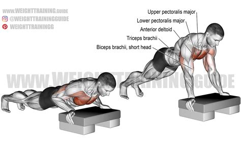 Incline push-up exercise instructions and video | Weight Training Guide ...