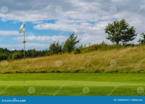 Flag on a golf green stock photo. Image of relax, golfer - 118032818