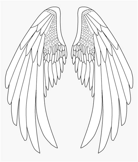 Elegant Drawing Angel Wings - Anime Wing Illustration