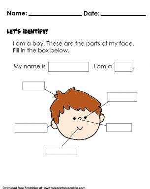 Learning the Parts of the Face - Kids Worksheet