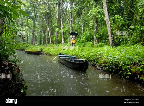 Monsoon rain, Kerala, India Stock Photo - Alamy