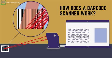 How does a barcode scanner work? Things you need to know