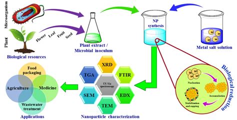 Catalysts | Free Full-Text | Green Synthesis of Metallic Nanoparticles: Applications and Limitations