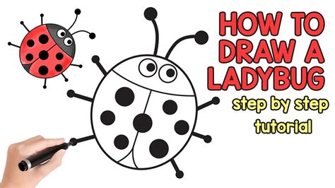 How To Draw A Ladybug Step By Step