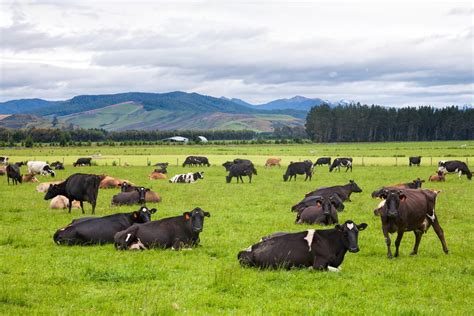 Farmers’ experiences: 3 very different routes of entering dairy farming - Agriland.ie