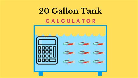 How Many Fish in a 20 Gallon Tank? (Calculator) - Pet Fish Pro