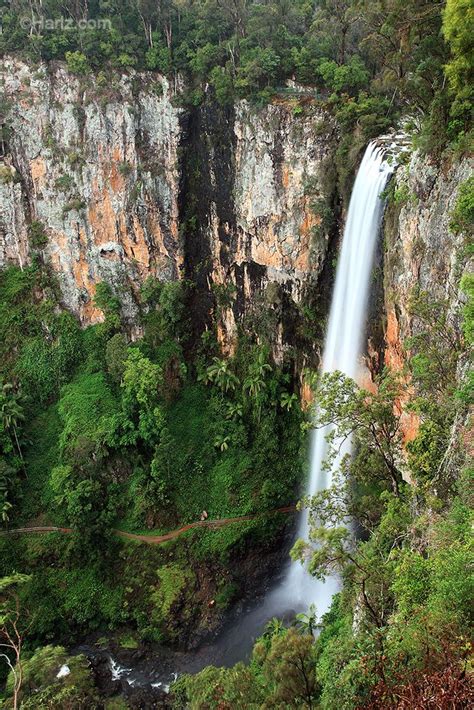 Springbrook Gold Coast hinterland | Waterfall, National parks ...