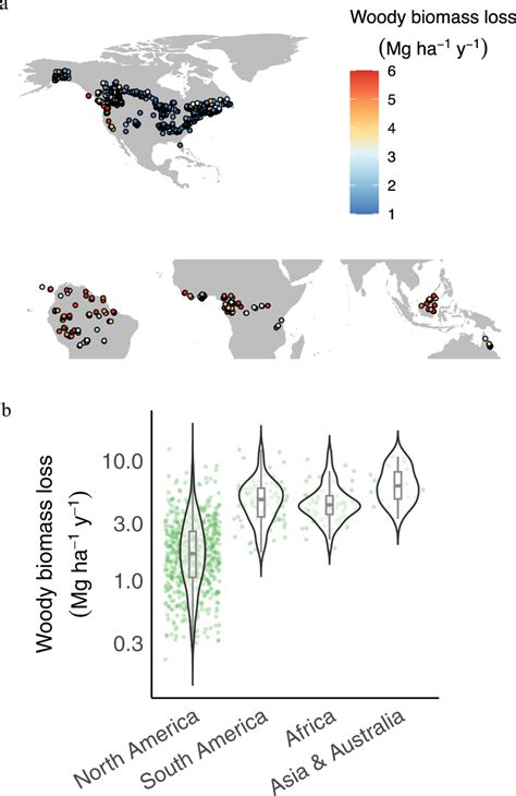 Map of sample locations and biomass loss to mortality (LOSS) data a... | Download Scientific Diagram