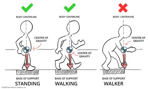 Where is your Center of Gravity? | 30 Minutes of Everything