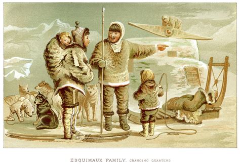 Inuit Animal Paintings