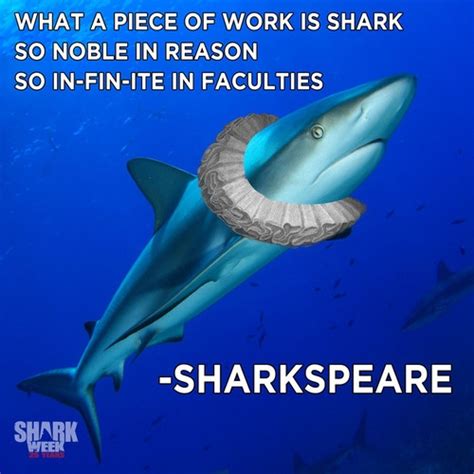 SHARK WEEK | Shark facts, Sharks funny, Shark week