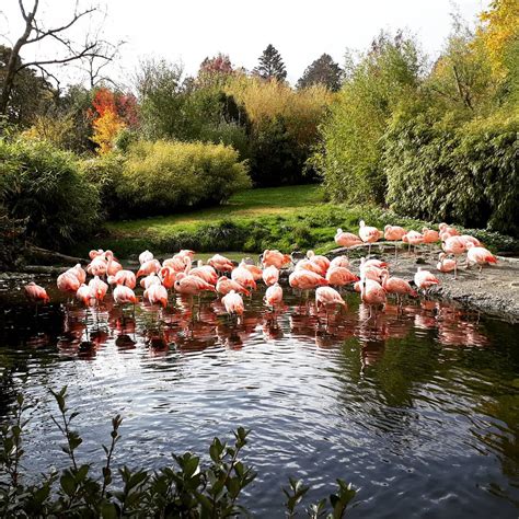 Zurich Zoo & Masoala Rainforest | zuerich.com