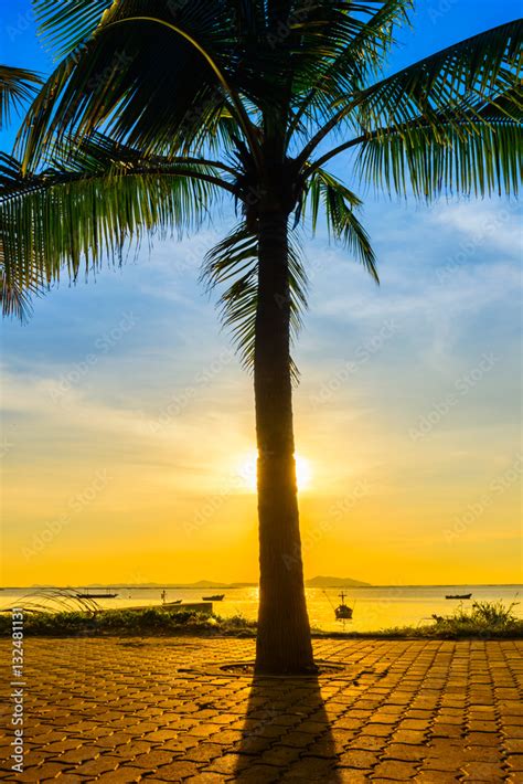 Coconut tree on beach with warm light and sunset background Stock Photo | Adobe Stock