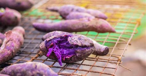 How to Grow Ube at Home? - AlmostNordic