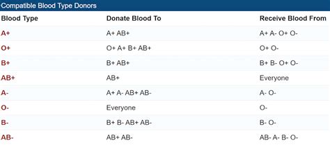 Tabla del tipo de sangre e información sobre los tipos de grupo sanguíneo | Market tay