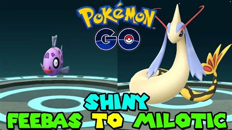 Evolving SHINY FEEBAS TO SHINY MILOTIC IN POKEMON GO - YouTube