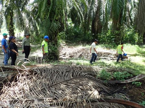 Photo Gallery – Borneo Conservation Trust