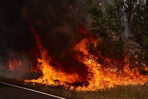 Heartbreaking photos of Australia's deadly bush fires as whole towns devastated - News Alt Coins