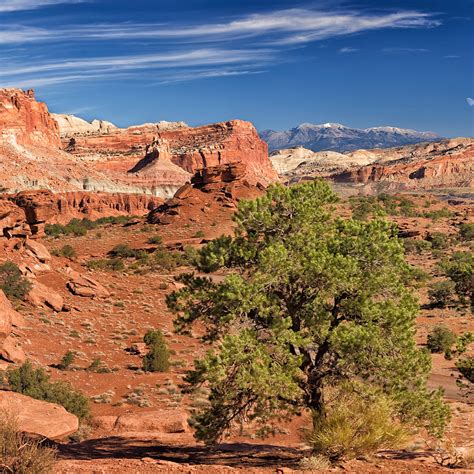 Panorama Point in Capitol Reef NP, UT