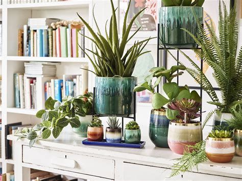 19 stylish indoor plant pots to suit every interior