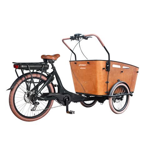 Pedal assist Electric cargo bike three wheel