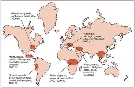 Neolithic Revolution Map